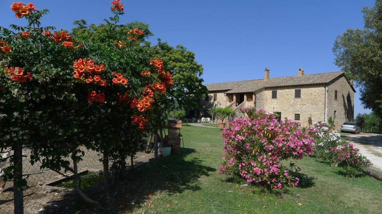 Agriturismo Podere Luchiano アメリア エクステリア 写真