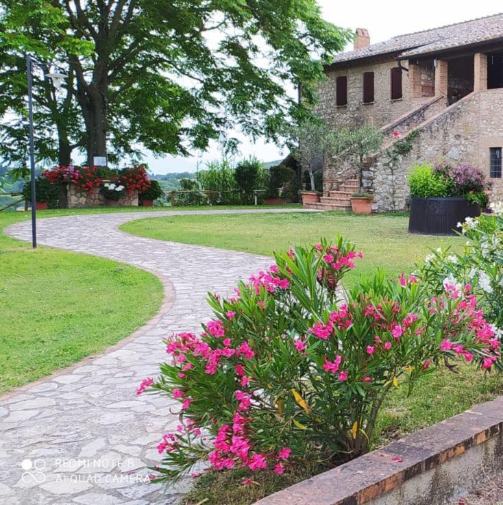 Agriturismo Podere Luchiano アメリア エクステリア 写真