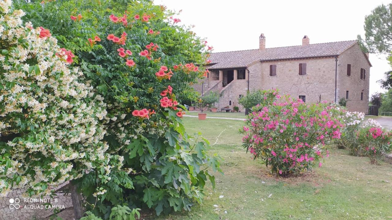 Agriturismo Podere Luchiano アメリア エクステリア 写真