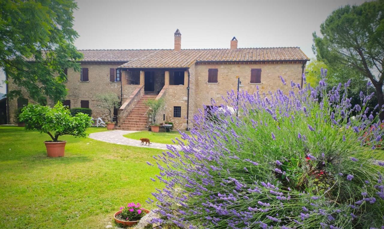 Agriturismo Podere Luchiano アメリア エクステリア 写真