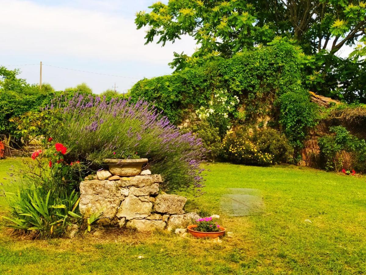 Agriturismo Podere Luchiano アメリア エクステリア 写真