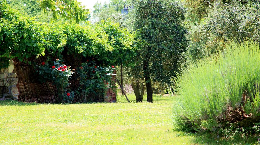 Agriturismo Podere Luchiano アメリア エクステリア 写真