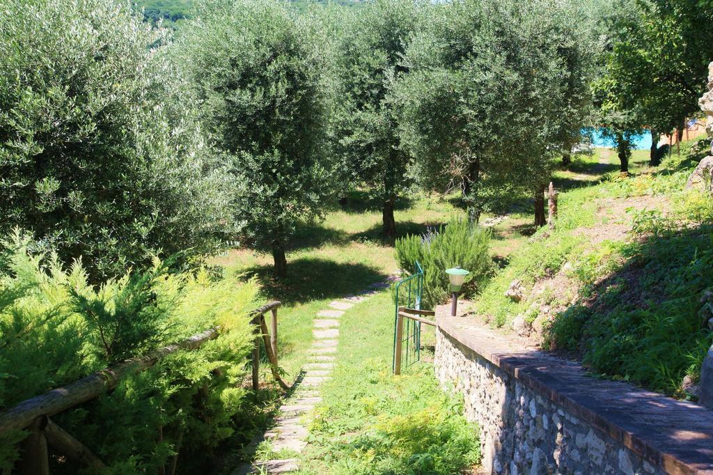 Agriturismo Podere Luchiano アメリア エクステリア 写真