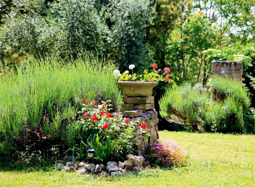 Agriturismo Podere Luchiano アメリア エクステリア 写真