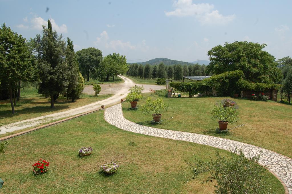 Agriturismo Podere Luchiano アメリア エクステリア 写真