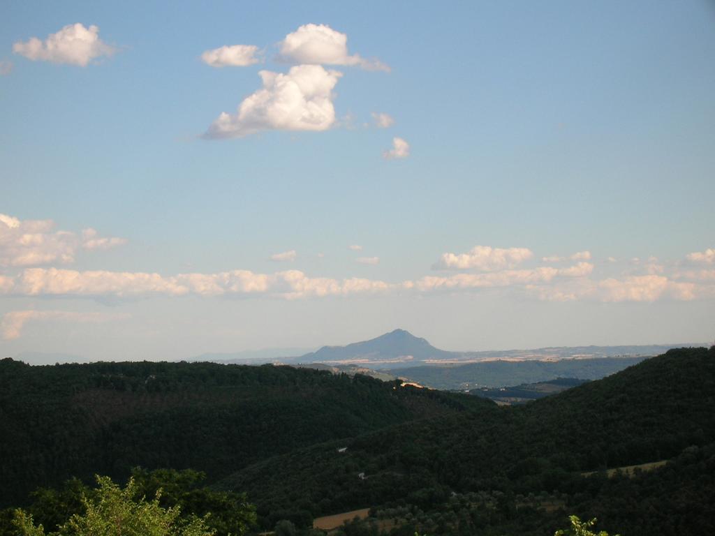 Agriturismo Podere Luchiano アメリア エクステリア 写真