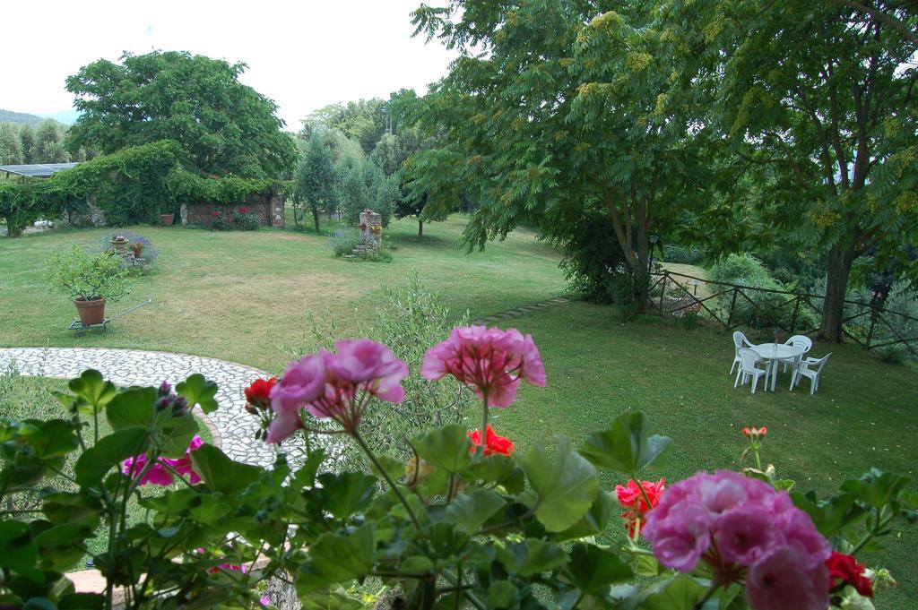 Agriturismo Podere Luchiano アメリア エクステリア 写真