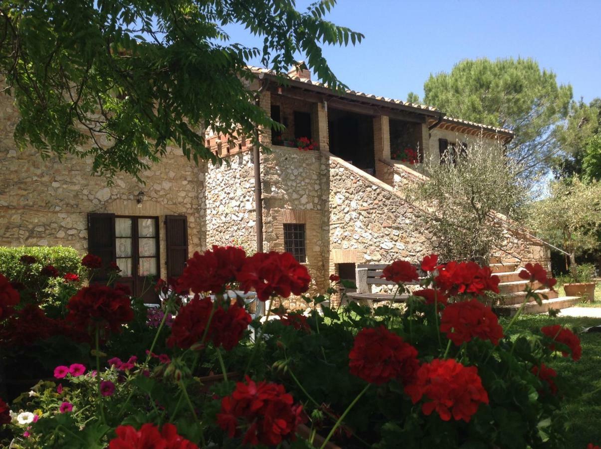 Agriturismo Podere Luchiano アメリア エクステリア 写真