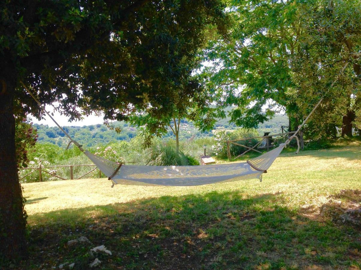 Agriturismo Podere Luchiano アメリア エクステリア 写真